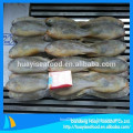 Whole Frozen Sea Yellow Croaker